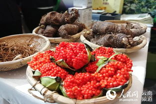 云南臨滄吹響綠色食品集結(jié)號 打造高原特色農(nóng)產(chǎn)品新高地