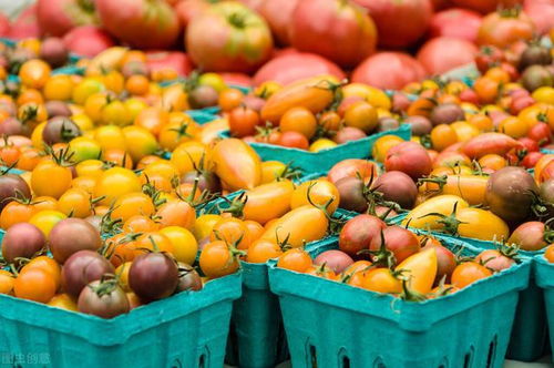 越南農(nóng)產(chǎn)品 廣東消費者的“心頭好”