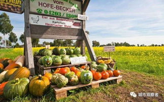 鄉(xiāng)村旅游農(nóng)產(chǎn)品創(chuàng)意升級之路