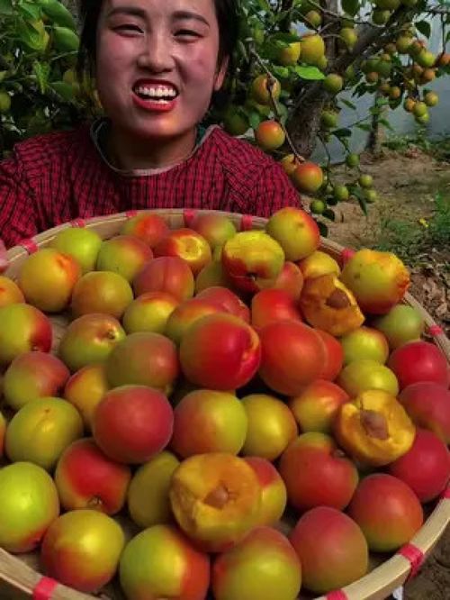 優(yōu)質(zhì)農(nóng)產(chǎn)品的價值與未來發(fā)展路徑