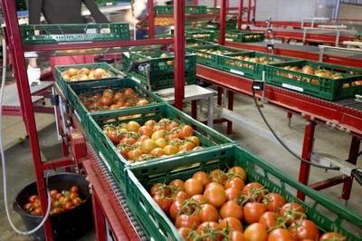 探索建設(shè)現(xiàn)代化農(nóng)產(chǎn)品市場物流體系，打通農(nóng)產(chǎn)品上行之路