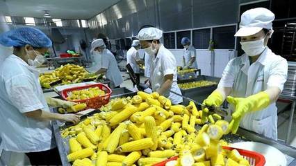 越南充分開發(fā)向澳大利亞出口農(nóng)產(chǎn)品的潛力