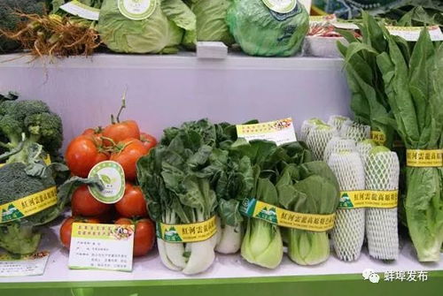 蚌埠風味，香飄全國 盤點那些讓人欲罷不能的本土美食