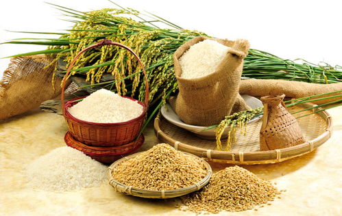 一季度國家農產品質量安全例行監測報告顯示我國農產品總體合格率保持高位