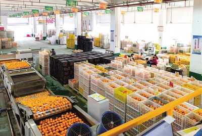 招商引資 驅動重慶從“味覺高地”邁向“產業高地”的農業引擎