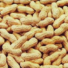 庫存農產品 從源頭到市場，一站式采購指南