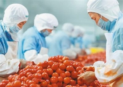 穩居第一，小小罐頭闖世界 中國農產品的全球化之路