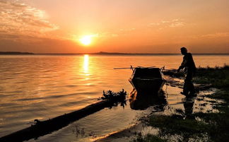 光影瞬間，生活之美 手機(jī)攝影作品精選賞析